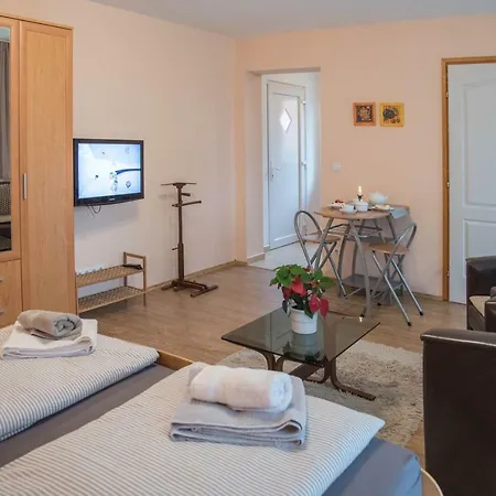 Deluxe Apartment *