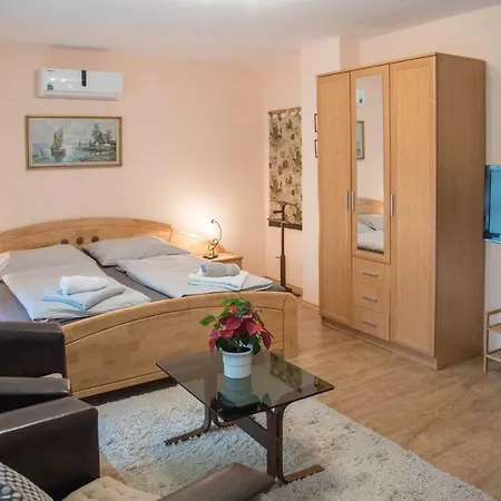 Deluxe Apartment *